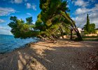 2013 09- D8H5428 HDR : Petrcane, Zadar, semester, utlandet